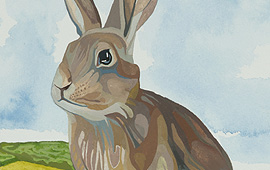 Watership Down