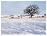 Snow in Feb