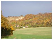 Whiteleaf Cross