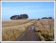 Burial Mounds at the start