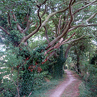 Grims Ditch<empty>