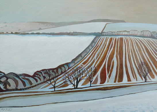 Snow on the Aston Downs